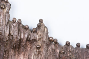 Une foule s'élève dans un cercle/christiane Erard