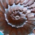 Christiane Erard - Sculptures